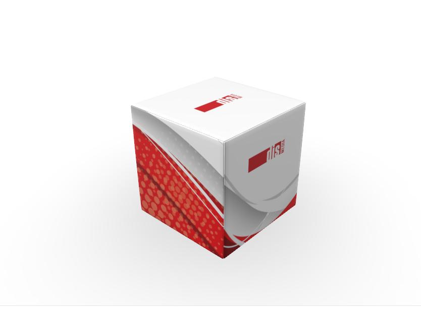 Prezentační stolička b05 Cube "Kostka"